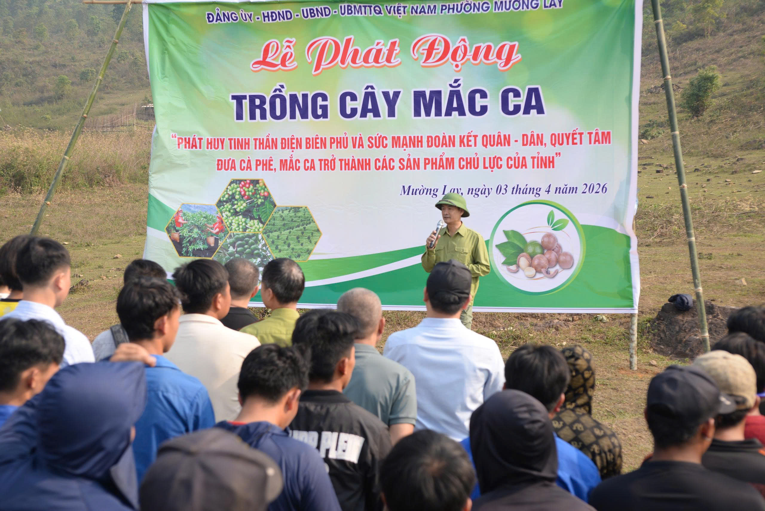 Mường Lay: Phát động ra quân trồng cây mắc ca trên địa bàn phường