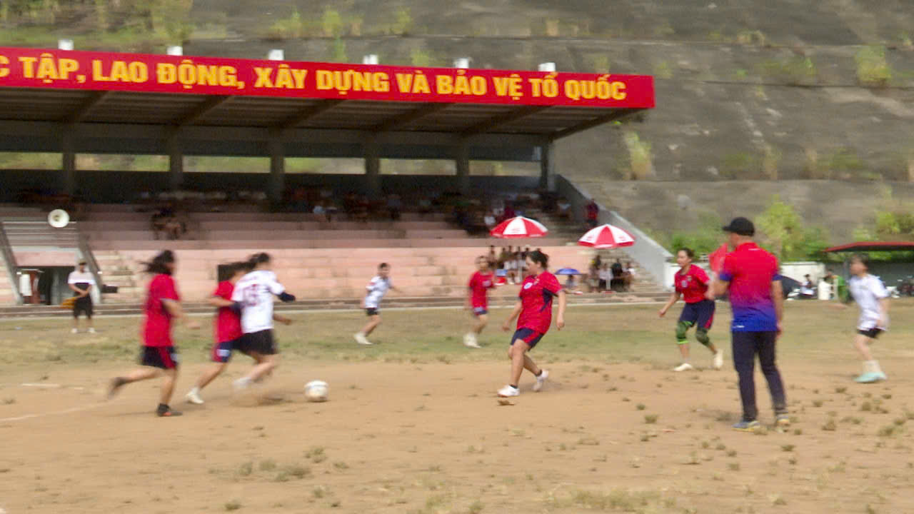 bdnn-2-.jpg