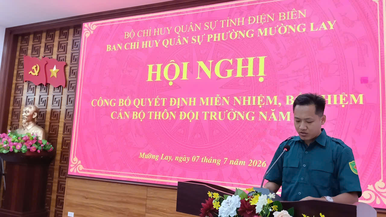 danphong-3-.jpg