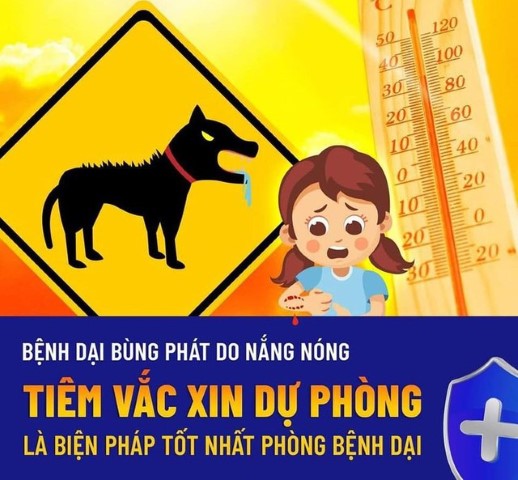 Tăng cường các biện pháp kiểm soát hiệu quả bệnh dại trên địa bàn